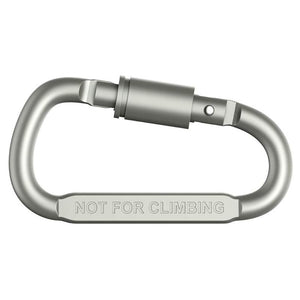 Aluminum Alloy D-ring Carabiner Keychain